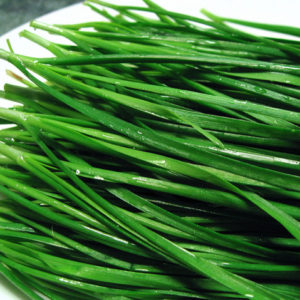 Chives, Onion and Garlic